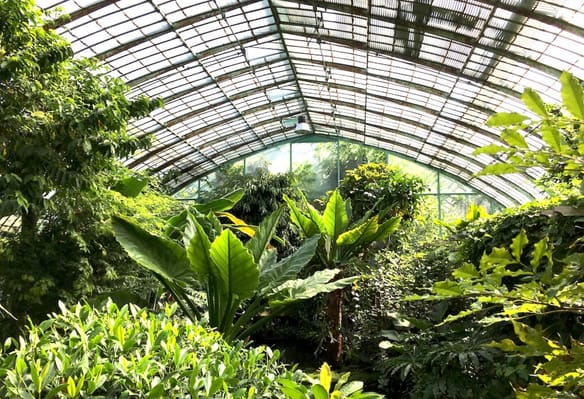 Balade au jardin des serres d'Auteuil