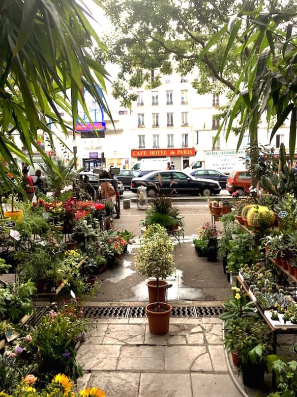 Jardins et Collections