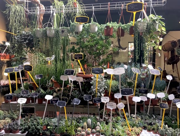 Le marché aux fleurs de Paris